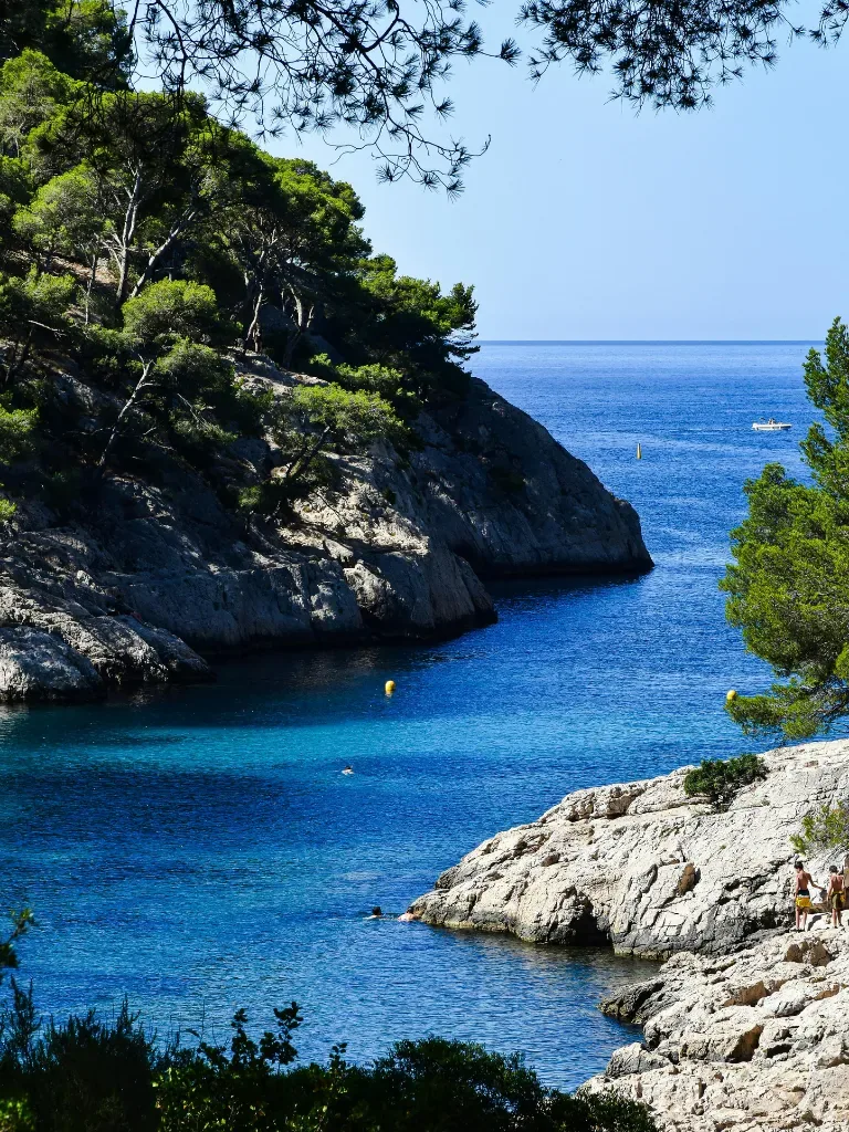 Crique de la côte provençale entre les pins, eau turquoise