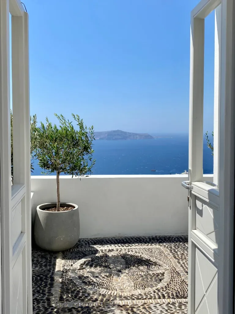 Balcon ensoleillé avec un olivier en pot, ouvert sur la mer